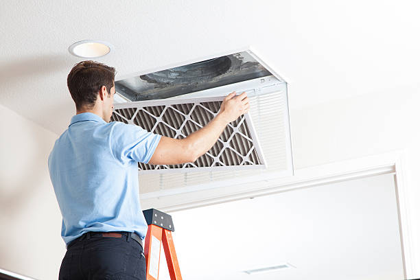 Best HVAC air duct cleaning  in Mount Vernon, GA